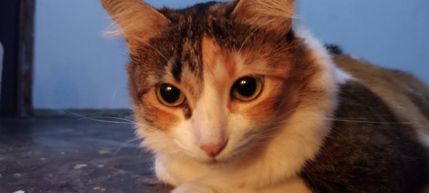 Photo of !!!!!!!!!!!