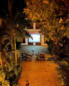 Photo of Violeta Film Fest - VFF