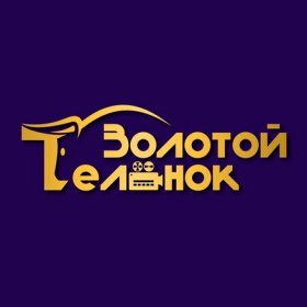 Logo of ZTFEST