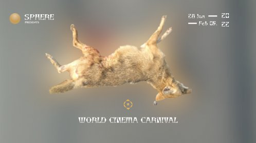 Photo of World Cinema Carnival