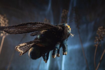 Photo of Womanimation! Film Festival