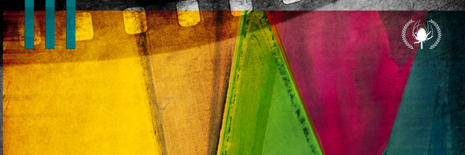 Banner Certamen de cortometrajes de Piñel de Arriba