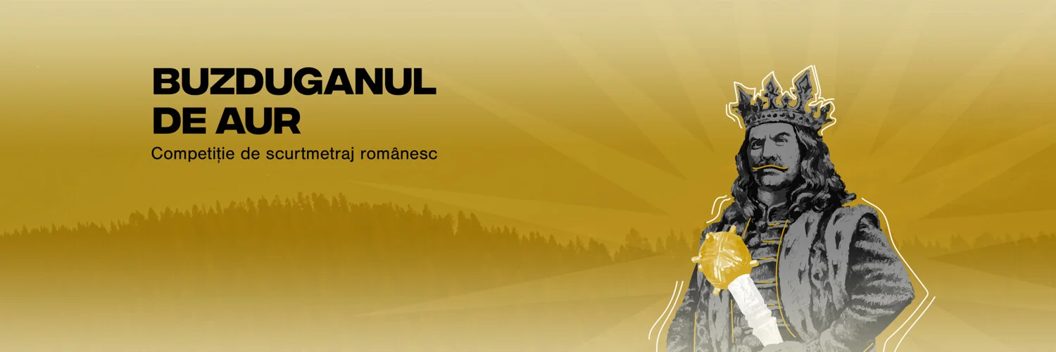 Banner Câmpulung Film Fest
