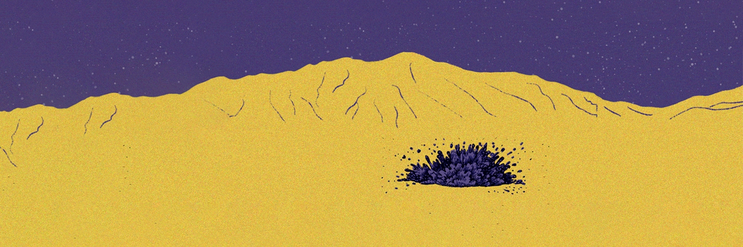 Banner Plum! International Animation Festival