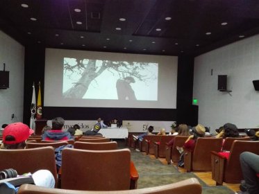 Photo of Festival Universitario Audiovisual Embrión - Cun