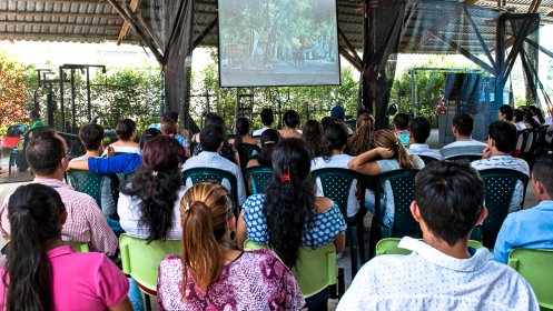Photo of Festival De Cine Colombiano Al Campo - SiembraFest