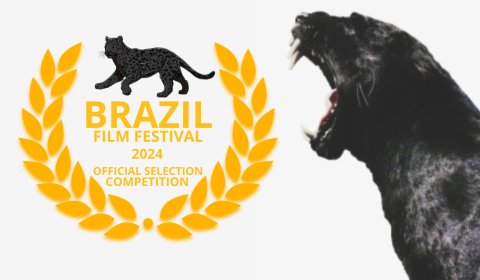 Photo of BRAZIL FILM FESTIVAL