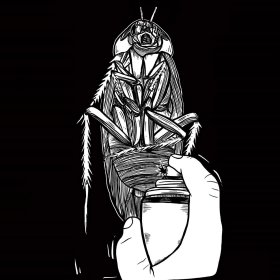 Photo of Pest Control Film Festival