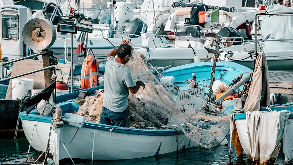 Photo of Gentium Film Fest