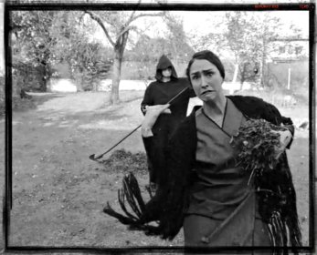 Photo of Videocomposta. VII festival de vídeos y cortos de compostaje