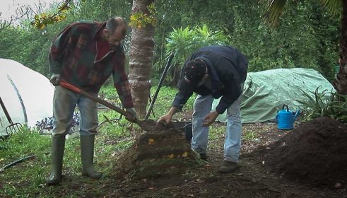 Photo of Videocomposta. VII festival de vídeos y cortos de compostaje