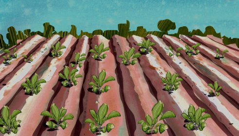 Photo of Videocomposta. VII festival de vídeos y cortos de compostaje