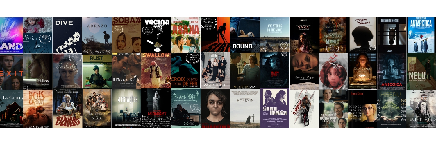 Banner Bistrita Romania International Film Festival