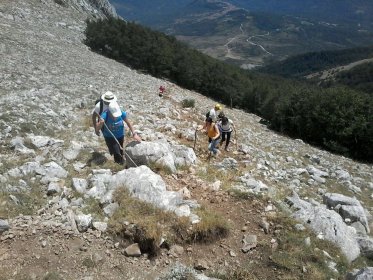 Photo of Xalpisud Movie Fest