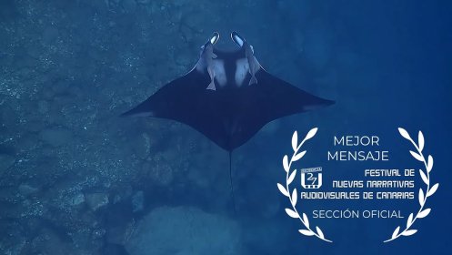 Photo of Festival de Nuevas Narrativas Audiovisuales de Canarias