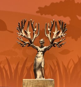 Photo of Festival La Raíz