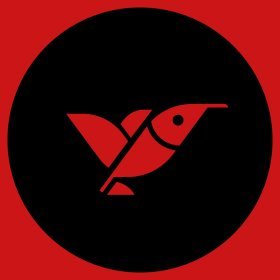 Logo of International Diverse Film Festival