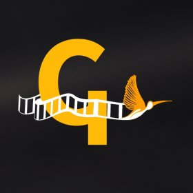 Logo of 1º FESTIVAL DE CINEMA GUARÁ / CURTAS