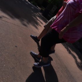 Photo of Tigers Dance Film Festival