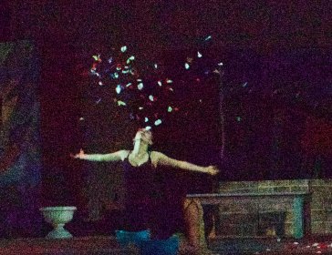 Photo of Tigers Dance Film Festival