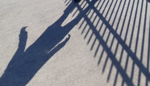 Photo of Tigers Dance Film Festival