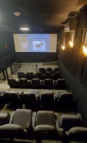 Photo of Chaos Film Festival
