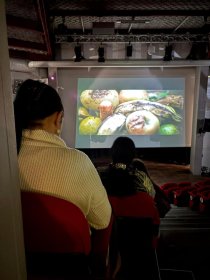 Photo of Arara Azul Brasilian Film Festival