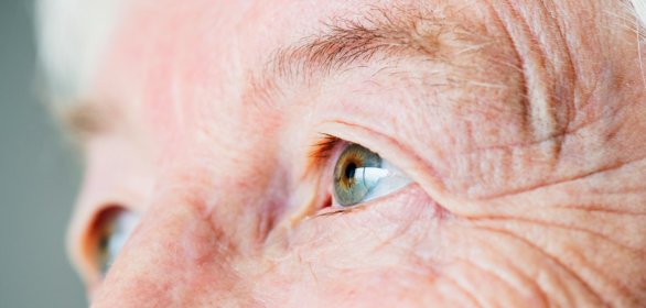 Photo of CERTAMEN MIRADAS QUE PERDURAN