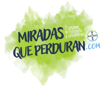 Logo of THE LASTING GLIMPSES CONTEST