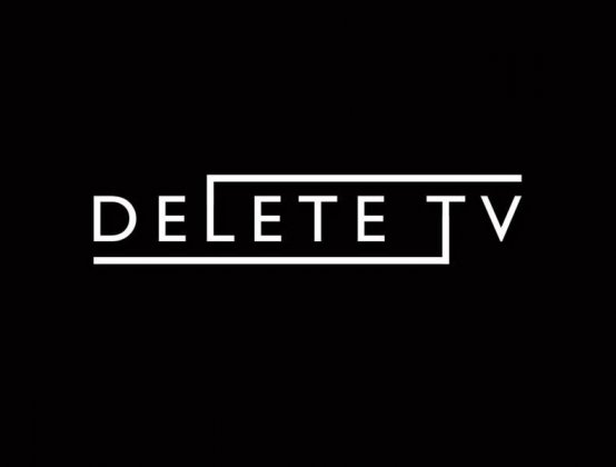 Logo of DELETE TV VIDEO ART FESTIVAL