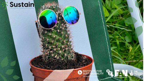 Photo of Sustain Film Festival