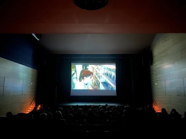 Photo of Firm Film Festival