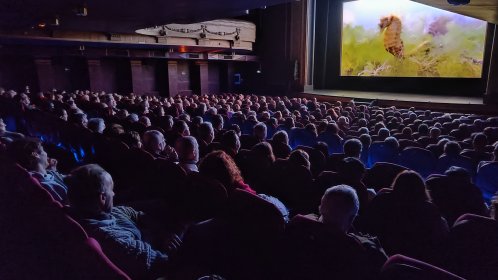 Photo of Cimasub - Ciclo Internacional de Cine Submarino de San Sebastián