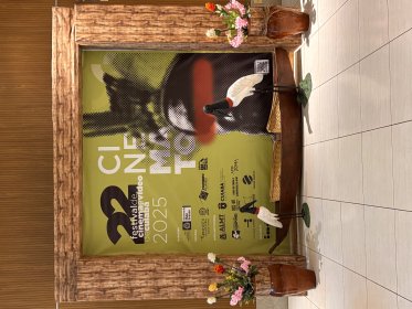 Photo of Festival De Cinema De Cuiabá-cinemato 2026