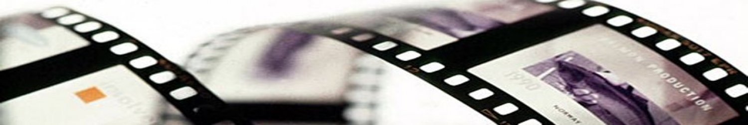 Banner Florida Movie Festival