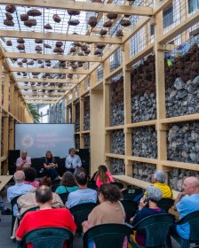 Photo of Muestra Internacional de Cine “Canarias Documental”