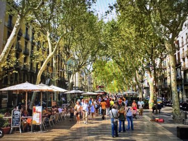 Photo of LA RAMBLA FILM FESTIVAL Mostra de cinema de Barcelona