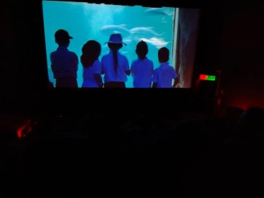 Photo of Festival Internacional de Cine de Zacatlán