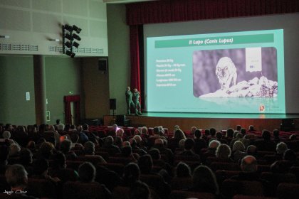 Photo of Orobie Film Festival
