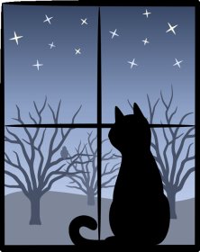 Photo of MIAU FILM FEST