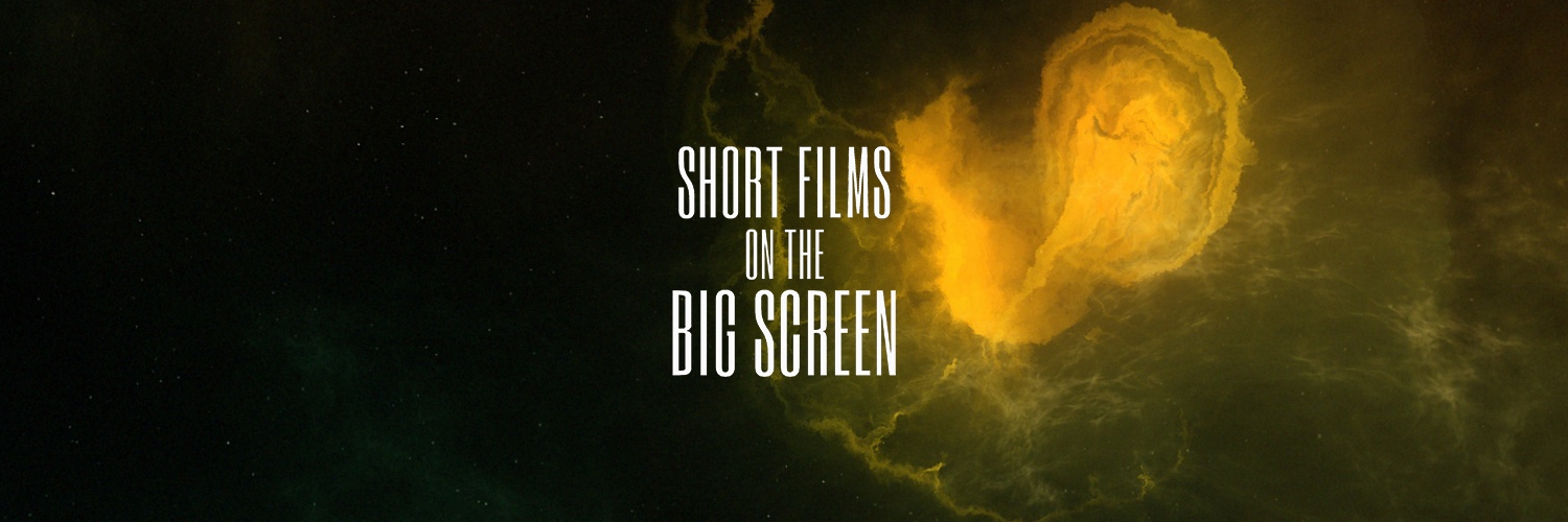Banner The Big Short Film Festival