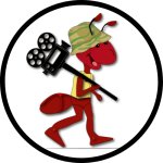 Logo of CINEHasta en las Aulas